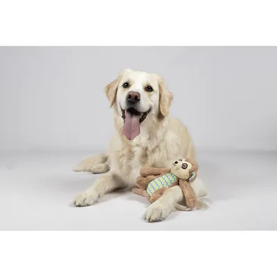 Jouet Drala Singe Brun H 21 cm pour chien
