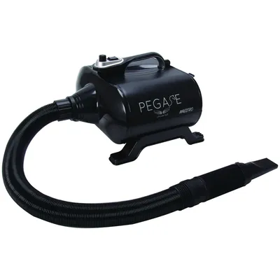 PEGASE UNIVERSAL Séchoir-Pulseur Maestro Portable