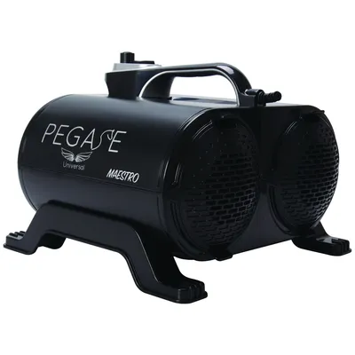 PEGASE UNIVERSAL Séchoir-Pulseur Maestro Portable