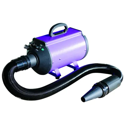 PHOENIX UNIVERSAL Séchoir-Pulseur Blizzard Portable