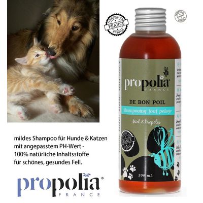 APIMAB Shampooing Tout Pelage pour Chien/Chat Propolis/Miel 200 ML