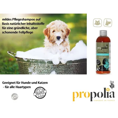 APIMAB Shampooing Tout Pelage pour Chien/Chat Propolis/Miel 200 ML