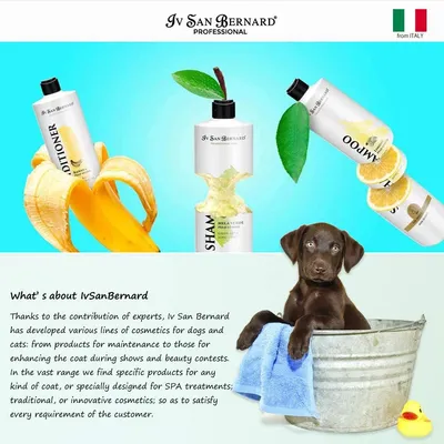Iv San Bernard - Shampooing - Pomme Vert Iv San Bernard - Shampooing - Pomme Vert