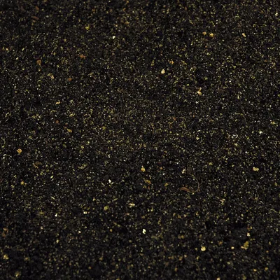 LUCKY REPTILE Jungle Parure de lit