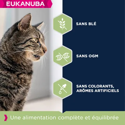 Eukanuba Chat Adulte Controle des Boules de Poils Toutes Races Poulet 2kg