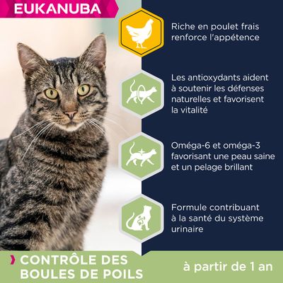 Eukanuba Chat Adulte Controle des Boules de Poils Toutes Races Poulet 2kg