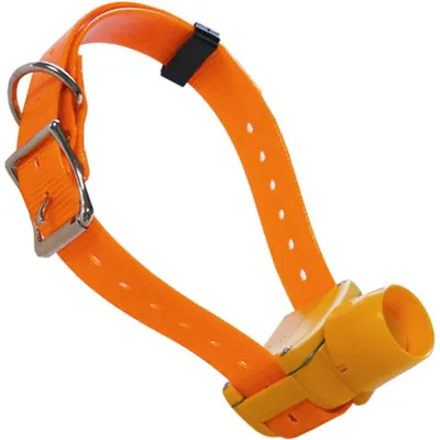 Nobby Friandise Barbecue pour Chien – Os au Canard et Calcium Nobby Friandise Barbecue pour Chien – Os au Canard et Calcium