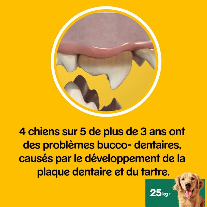 Pedigree Dentastix Fresh - Friandises pour Grand Chien, 112 Bâtonnets à Mâc