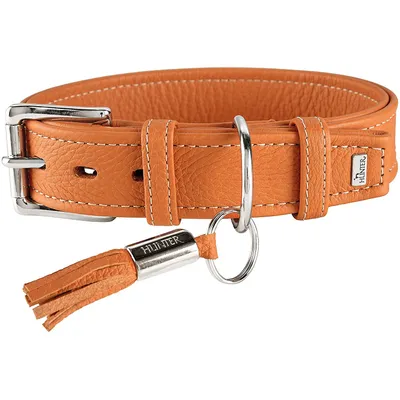 Hunter Collier pour Chien Cannes - Cuir Nappa de Vachette Hunter Collier pour Chien Cannes - Cuir Nappa de Vachette