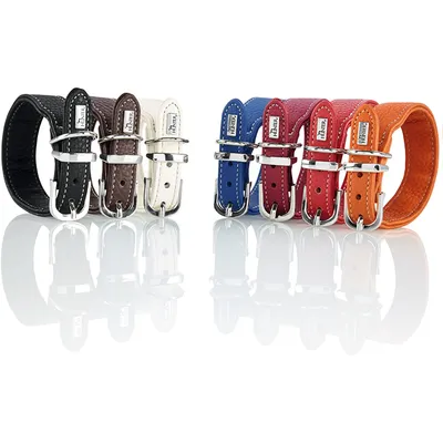 Hunter Collier pour Chien Cannes - Cuir Nappa de Vachette