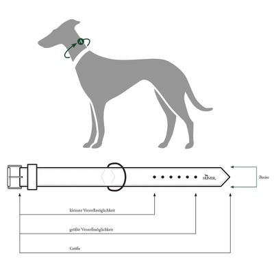 HUNTER collier pour chien Basic