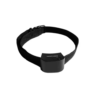 Collier anti-fugue - NUM'AXES - CANIFUGUE - Small - Noir