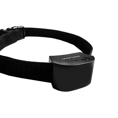 NUMAXES Collier supplémentaire anti-fugue - Noir - Pour chat et petit chien