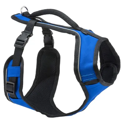 Buckle Down Dug 3poses/ecureuil. Marron/Jaune/Plastique Blanc Clip Collier