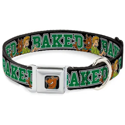 Buckle Down 9?38,1 cm Sdc-Scooby Doo Visage Complet Couleur Noir Collier de