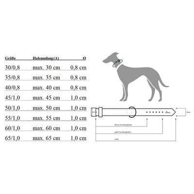 Hunter Freestyle Collier de dressage avec bague d'arrêt, Gris (grau) 55/10