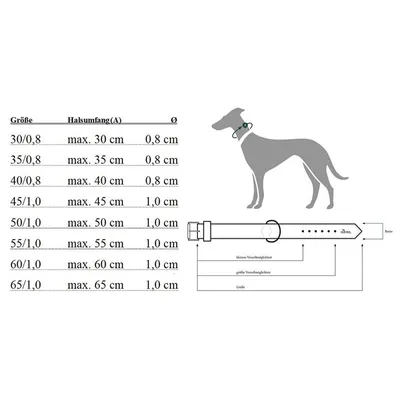 Hunter Freestyle Collier de dressage avec bague d'arrêt, Gris (grau) 55/10