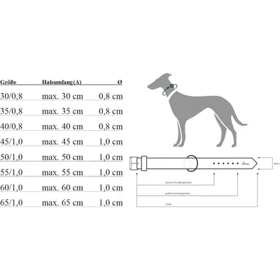 HUNTER Freestyle Collier de Dressage avec Bague d'arret, Noir (schwarz), Ta