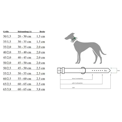 HUNTER Vario Plus Collier en neoprene, 30-35 cm, 20 mm, Noir/Gris