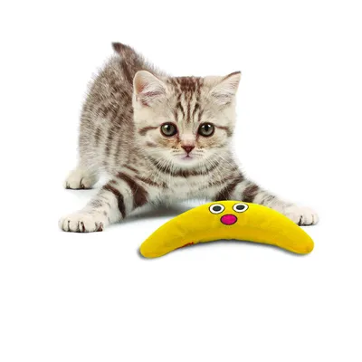 CROCI Hama - 63237 - Passe-Partout Premium, Blanc Neige, 40 x 50 cm, Blanch CROCI Hama - 63237 - Passe-Partout Premium, Blanc Neige, 40 x 50 cm, Blanch