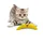 CROCI Hama - 63237 - Passe-Partout Premium, Blanc Neige, 40 x 50 cm, Blanch