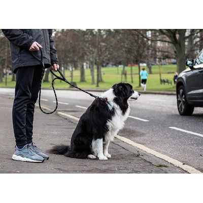 Sweetie Laisse en Corde pour Chien Noir avec 2 poignées rembourrées Confort
