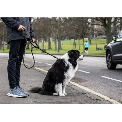 Sweetie Laisse en Corde pour Chien Noir avec 2 poignées rembourrées Confort