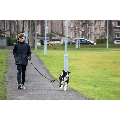 Sweetie Laisse en Corde pour Chien Noir avec 2 poignées rembourrées Confort