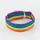 Galguita 0634438852858 Amelie Collier Arc-en-Ciel pour Chien Taille M