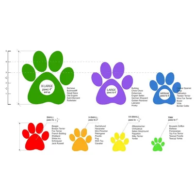 HUNTER Laisse Nylon Reglable Extra Longue 20/300 cm Noir HUNTER Laisse Nylon Reglable Extra Longue 20/300 cm Noir