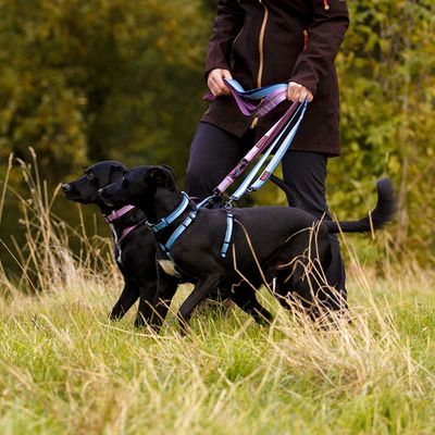 Laisse Double HALTI - Laisse educative pour Chien avec Coutures Reflechissa