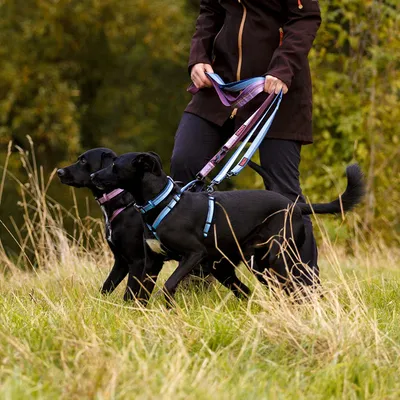 Laisse Double HALTI - Laisse educative pour Chien avec Coutures Reflechissa