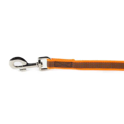 Julius-K9 Laisse De Sport Anti-Glisse Sans Poignée Pour Chien, Orange Fluo,