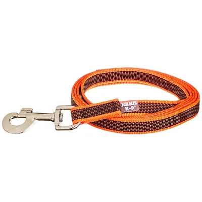 Julius-K9 Laisse De Sport Anti-Glisse Sans Poignée Pour Chien, Orange Fluo,