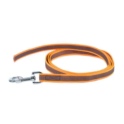 Julius-K9 Laisse De Sport Anti-Glisse Sans Poignée Pour Chien, Orange Fluo,