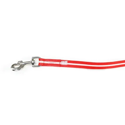 Julius-K9 Laisse phosphorescente IDC Lumino avec poignee, 19 mm x 2 m, Roug