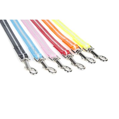 Julius-K9 Laisse phosphorescente IDC Lumino avec poignee, 19 mm x 2 m, Roug