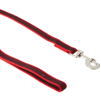 Couleur et Gris Julius-K9 Super-Grip Laisse avec poignée, 20 mm x 2 m, Roug