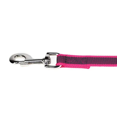 Julius-K9 et de Couleur Gris Super-Grip Laisse, 20 mm x 5 m, Rose/Gris Julius-K9 et de Couleur Gris Super-Grip Laisse, 20 mm x 5 m, Rose/Gris