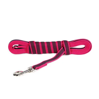 Julius-K9 et de Couleur Gris Super-Grip Laisse, 20 mm x 5 m, Rose/Gris Julius-K9 et de Couleur Gris Super-Grip Laisse, 20 mm x 5 m, Rose/Gris