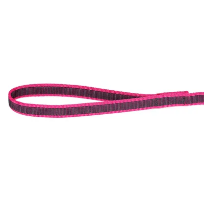 Julius-K9 et de Couleur Gris Super-Grip Laisse, 20 mm x 5 m, Rose/Gris Julius-K9 et de Couleur Gris Super-Grip Laisse, 20 mm x 5 m, Rose/Gris