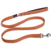 Basic Leash Orange M
