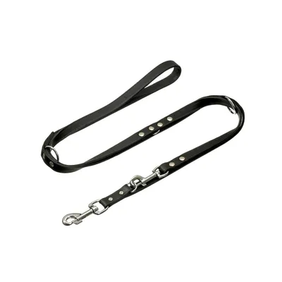 Flamingo Rondo Entr Agrafe No Laisse pour Chien 200 cm 12 mm Flamingo Rondo Entr Agrafe No Laisse pour Chien 200 cm 12 mm