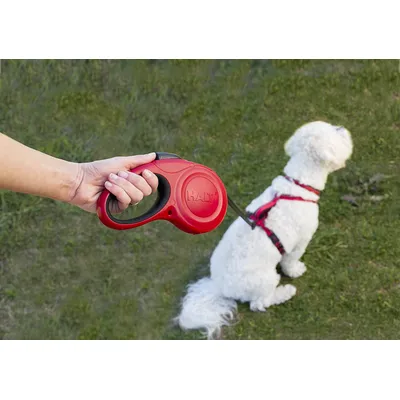 Halti Retractable Tape Lead Laisse à Enrouleur avec Bande Réfléchissante/Po