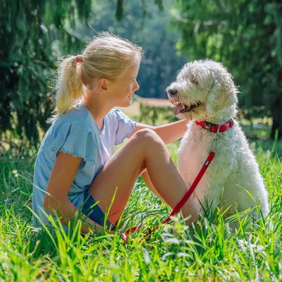 Nobby Soft Grip Laisse pour Chien Orange 200 cm/25 mm