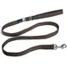 Basic Leash Brown M