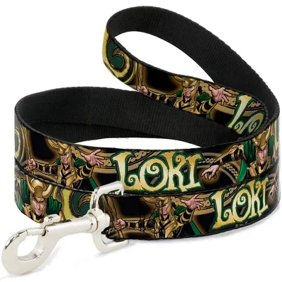 Buckle Down Laisse pour Chien