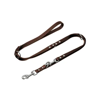 Flamingo Rondo Entr Agrafe Ma Laisse pour Chien 200 cm 18 mm