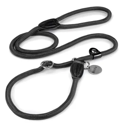 lionto laisse de dressage avec collier intégré et butée, en nylon lionto laisse de dressage avec collier intégré et butée, en nylon