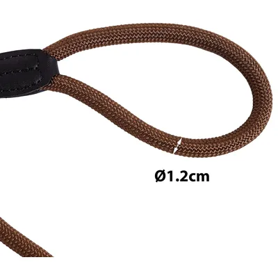 lionto laisse de dressage avec collier intégré et butée, en nylon